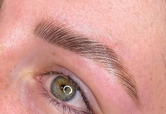 Eyebrow Lamination